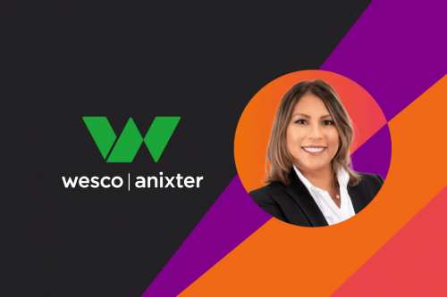 Araceli Aguilar nueva Vicepresidente y Gerente General para CALA – Wesco Anixter